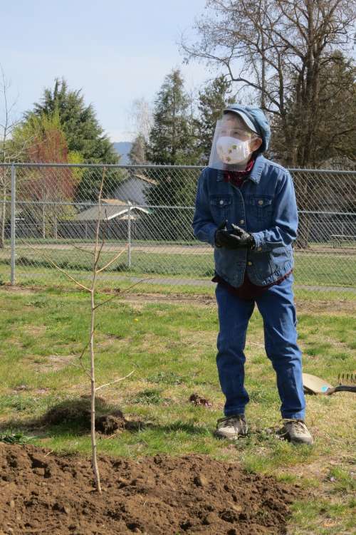 Hideko thanks Urban Forestry Committee for sponsoring the tree